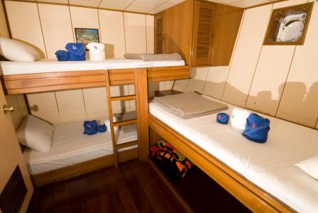 Standard Triple Cabin