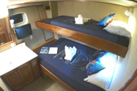 Deluxe Stateroom (#2, 3, 4, 5, 6, 7, 8)