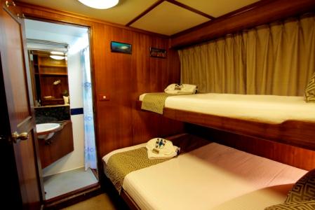 Deluxe Cabin (Double & Single bed)