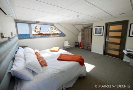 Premium Suite