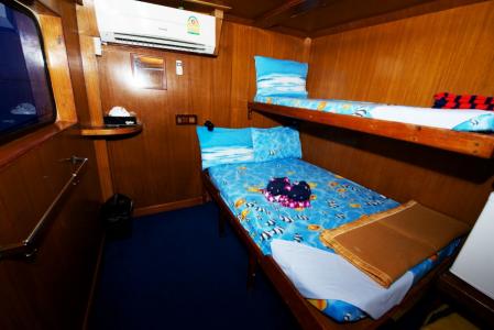 Standart Cabin