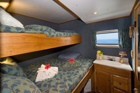 Stateroom 4