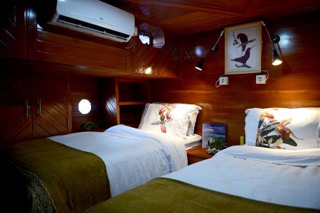 Twin Bed Cabin