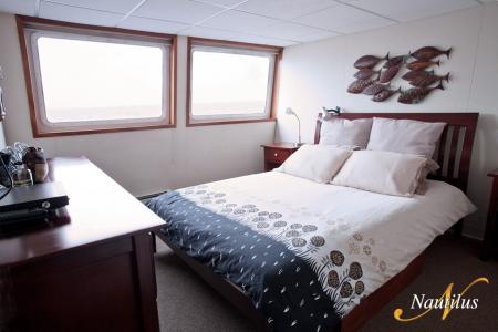 Premium Suite