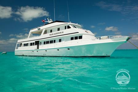 Belize Aggressor III