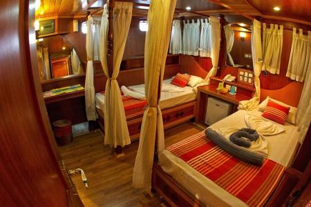 Sea Star Cabin Twin / Triple