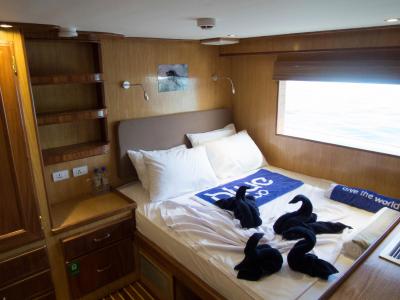 Premium Double Cabin Main
