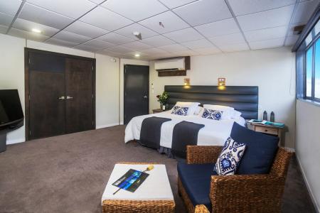 Premium Suite