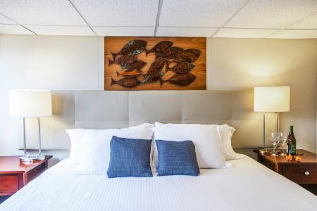 Premium Suite
