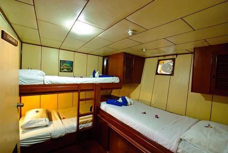 Standard Triple Cabin