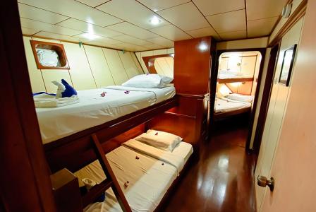 Standard Quad Cabin
