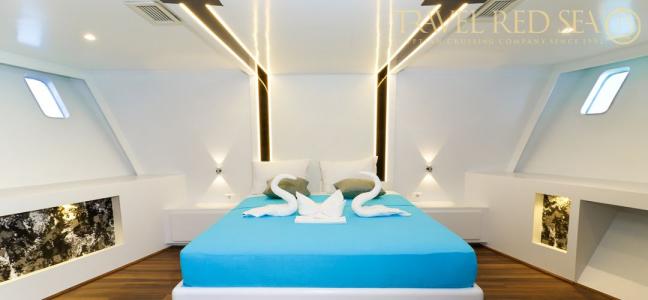 Dolphin Suite