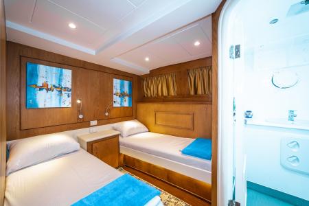 Twin Bed Cabin