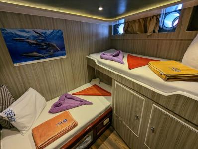 Bunk Style Cabin