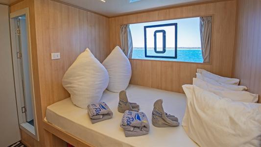 Suite Cabin