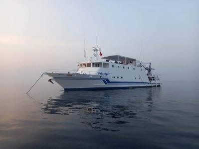Palau Sport