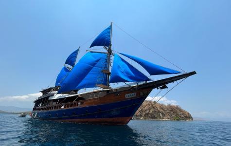 Moana