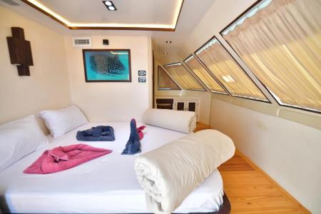 Luxury Queen Bed Suite