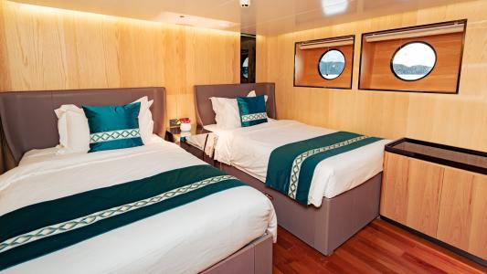 Deluxe Twin (#101-106)