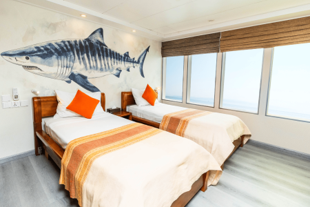 Junior Twin Suite