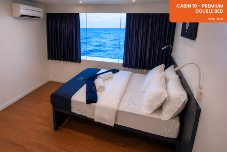 Premium Cabin (#9, 10)