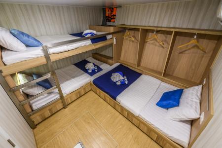 Standard Triple Cabin