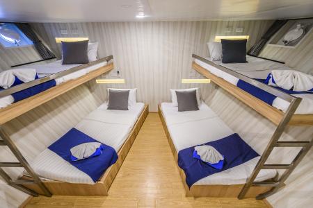 Standard Quad Cabin