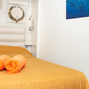 Single Cabin Portside