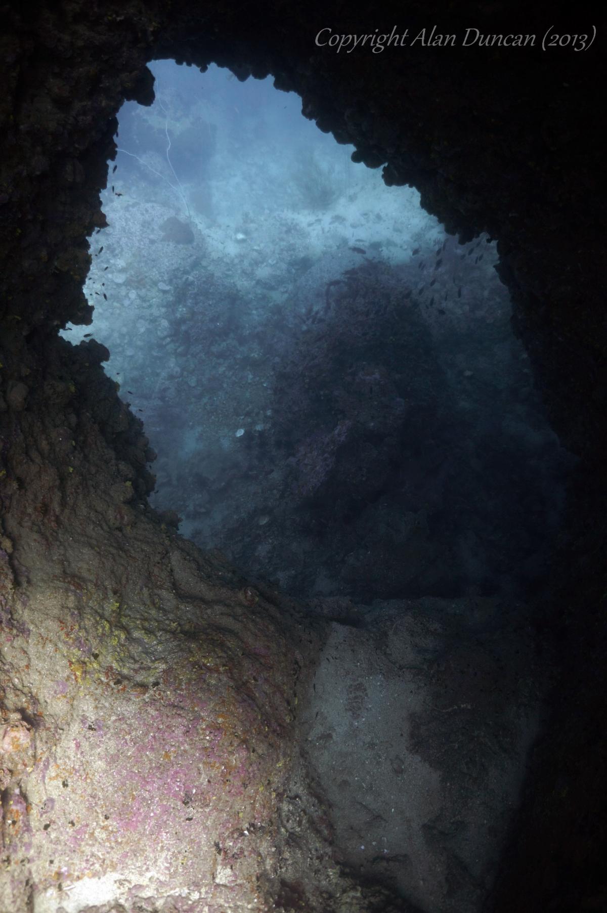 Scuba Diving in Sail Rock, Thailand - Dive Site - Divebooker.com