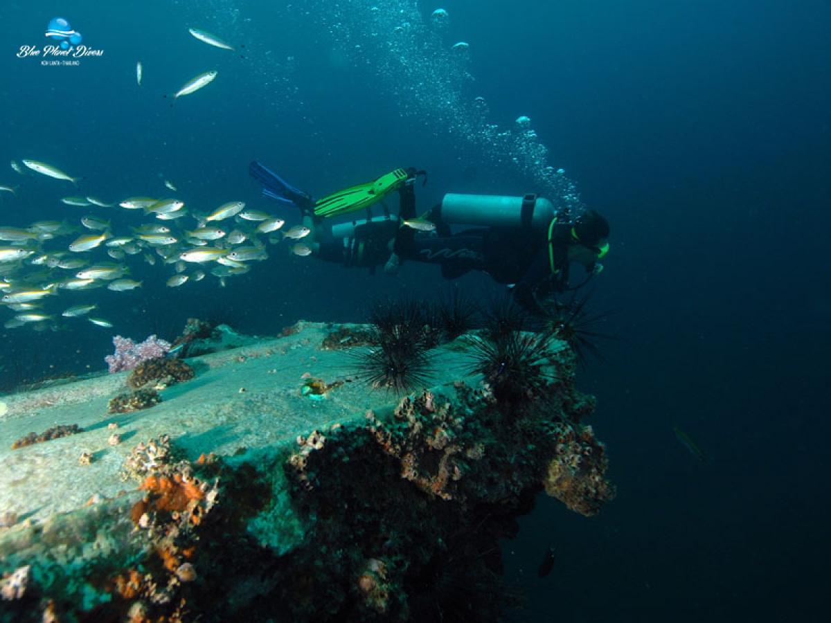 Андаманские острова затонувший корабль