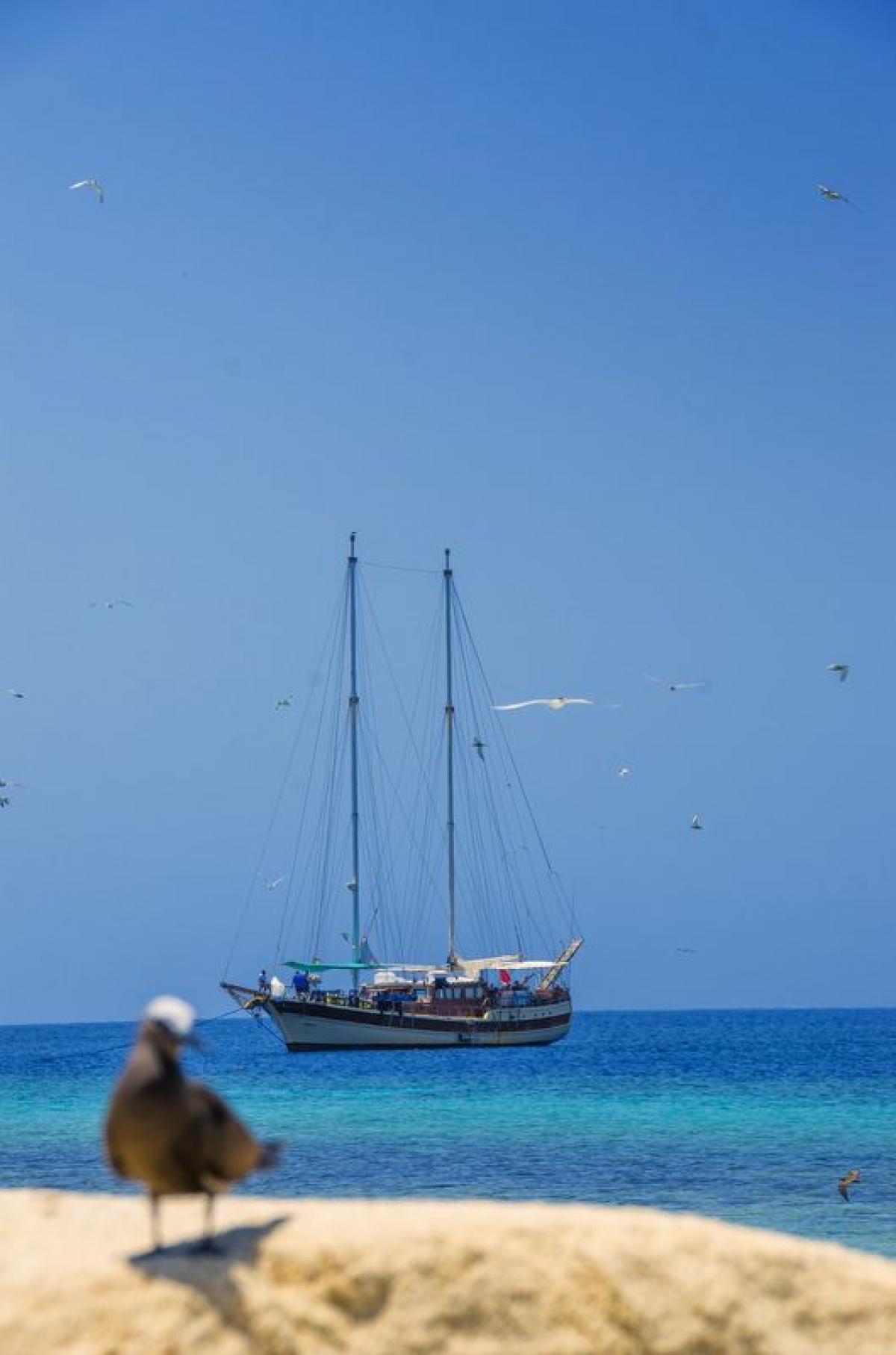Boat image