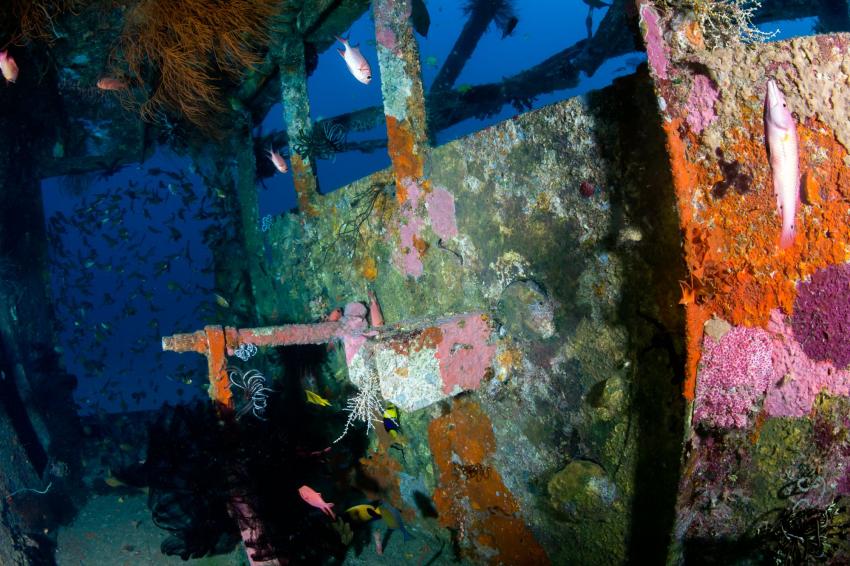 Josephina wreck
