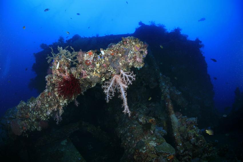 Teti wreck