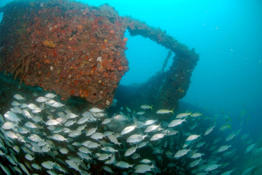 Brioni wreck