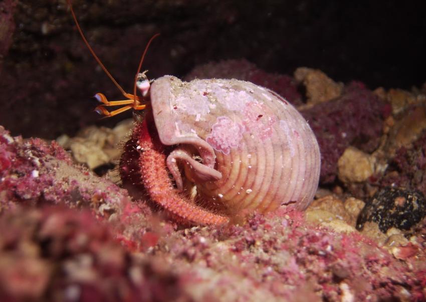 Lantern Point Comino