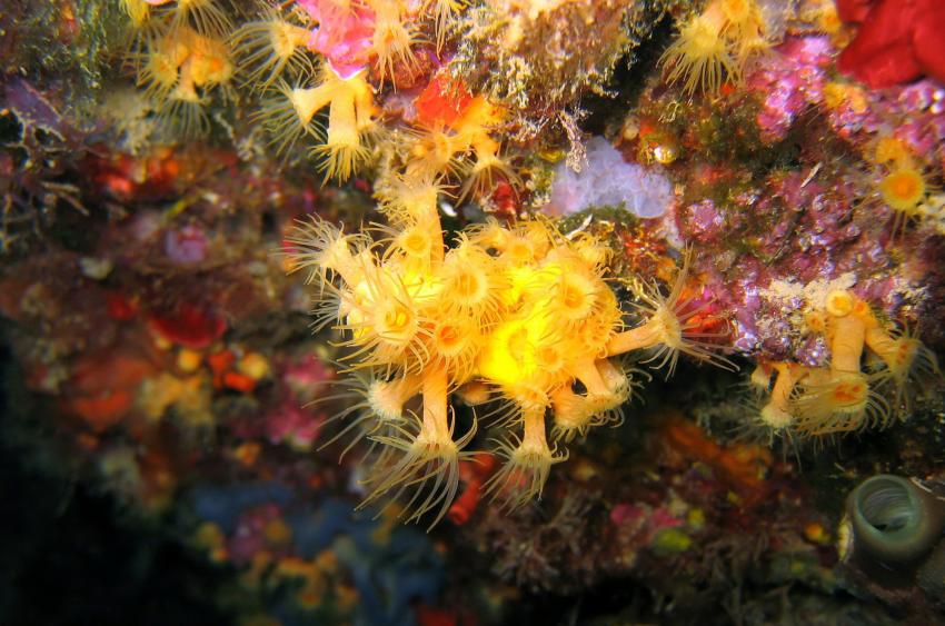 Pointe de la Gavinette