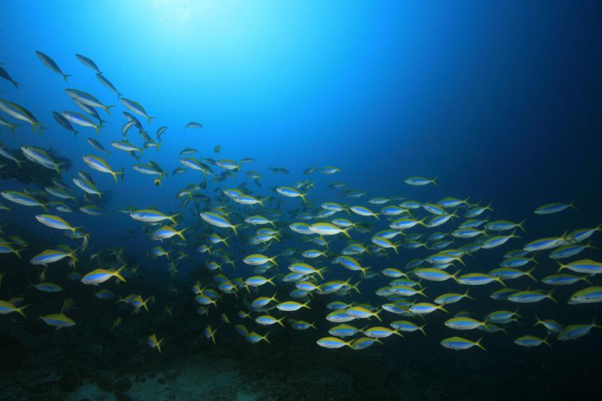 La Passe de l'Hermitage