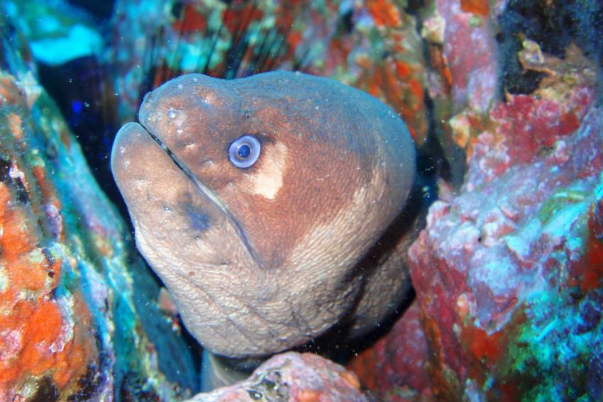 Baixa de Santa Barbara