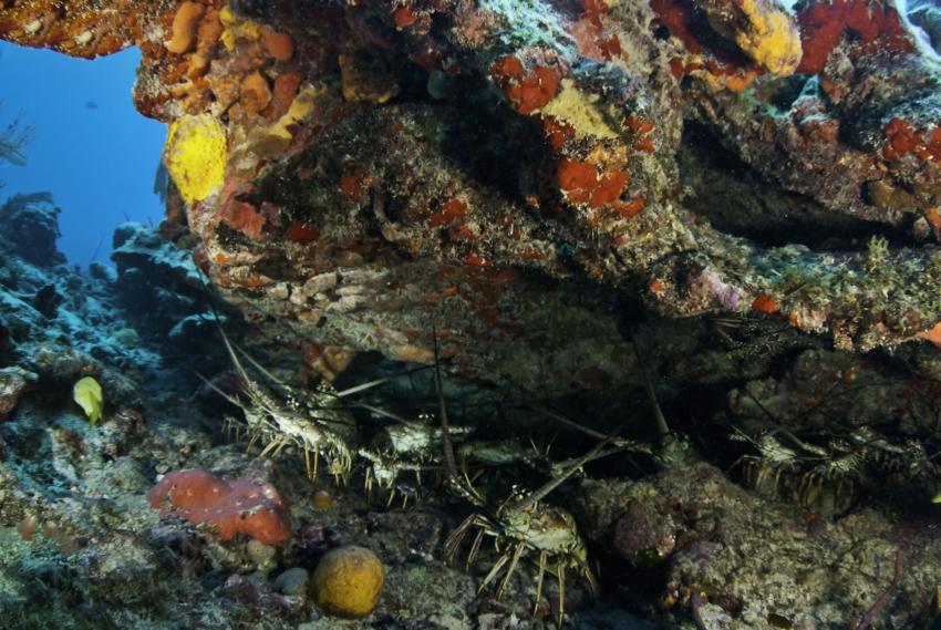 Capo Mulini Wreck