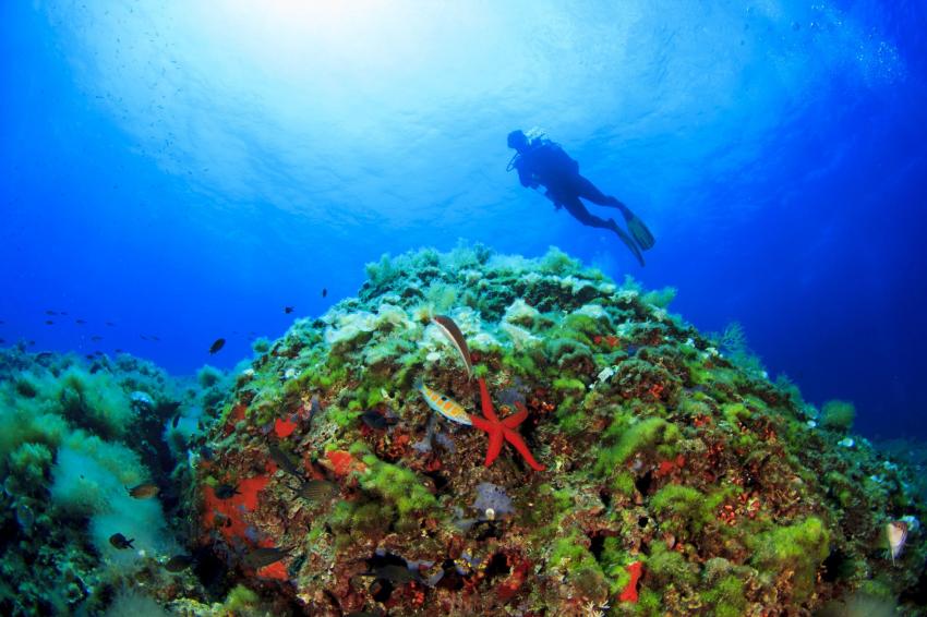 Ras Turgueness's Reef