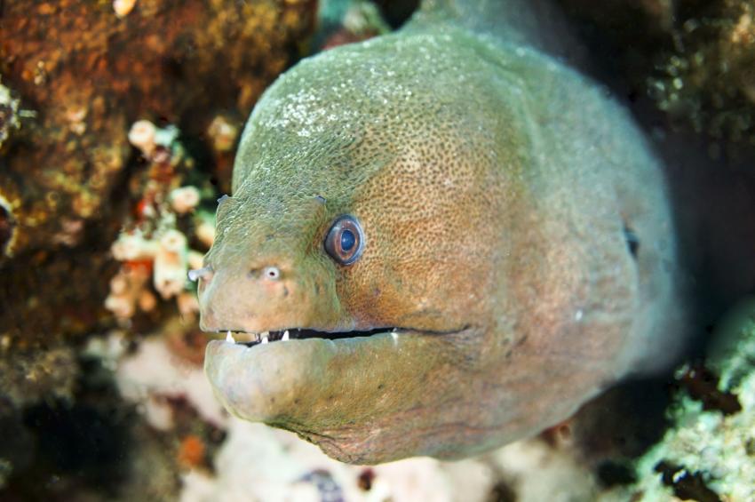 La Boya de los Locos