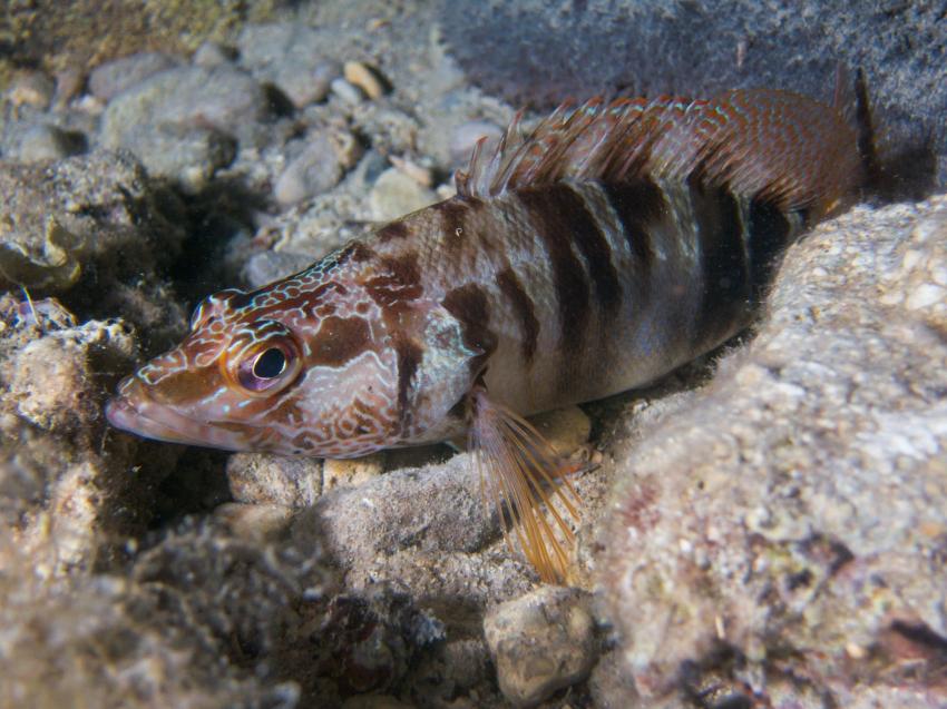 La Cueva de las Morenas