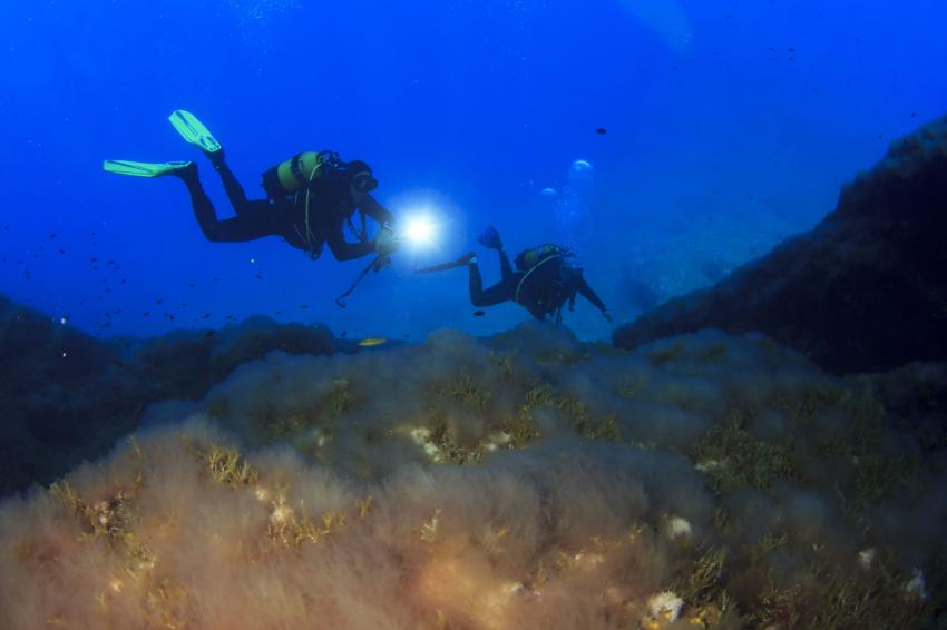 St. George’s Island