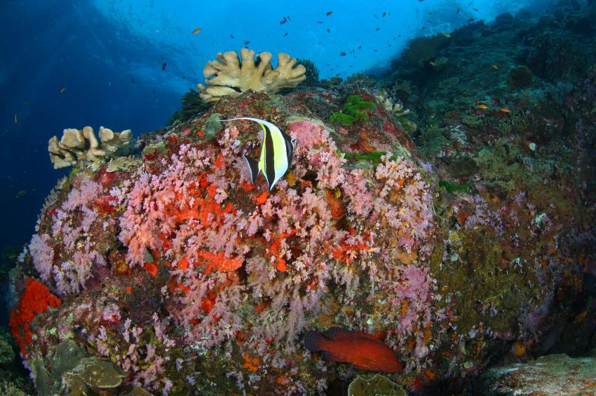 Similan Islands