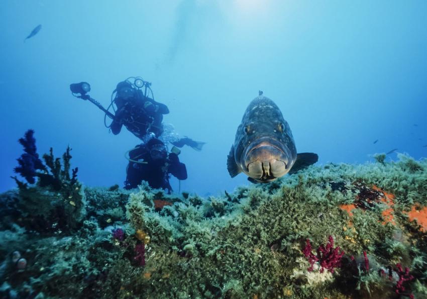 Reserve Naturelle des Bruzzi