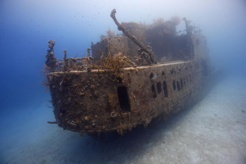 Prince Albert Wreck