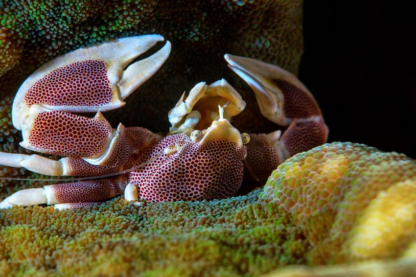 Khao Sok National Park