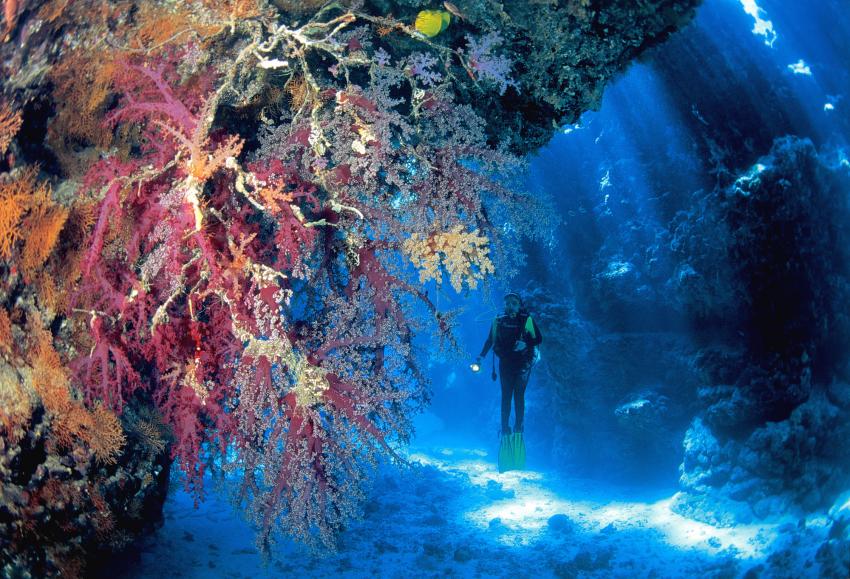 St. Johns Caves