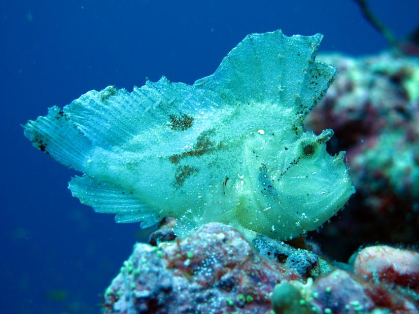 Baa Atoll