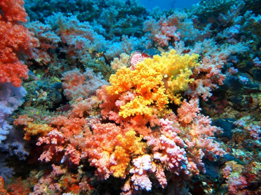 North Male Atoll